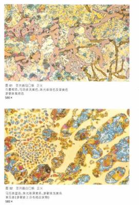 金屬材料金相圖譜大全與應(yīng)用解析及手冊(cè)資料下載